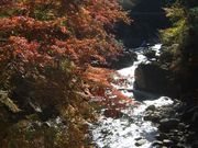 ̃Z}nRK̏˖kJ̊̓eʐ^5