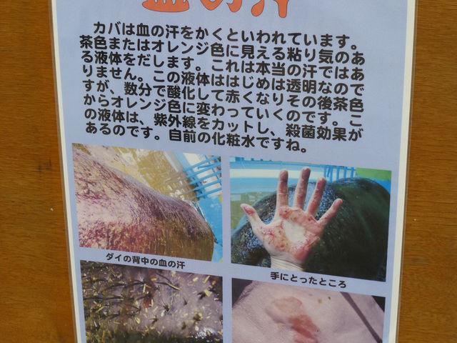 �J�o�ɂ��Ă̓��m����_���тЂ듮����