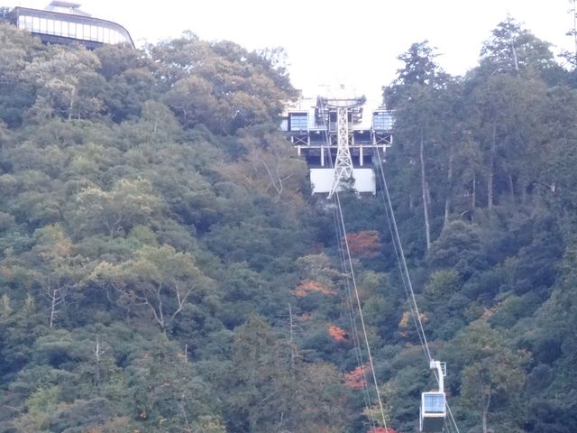 [猩[vEF[B_Ӌ؎R[vEF[