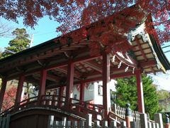 ayacaさんの筑波山神社の投稿写真1