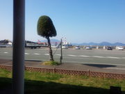 ǂ񂳂̂H _̎lG̓eʐ^4