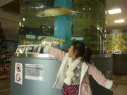 񂳂̂催僉h̓eʐ^1