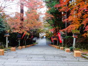 ǁ[̖@֎(̋󑠂j̓eʐ^3