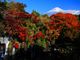 イカビンさんの白糸の滝（静岡県富士宮市）への投稿写真4