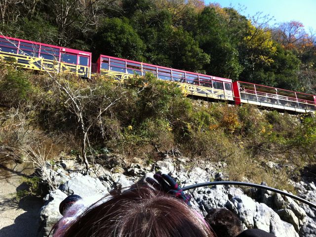 �y���������ł�_�����g���b�R���