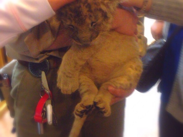 �x�m�T�t�@���p�[�N