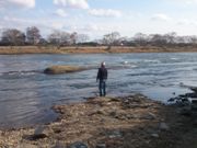 قɂ炳̃CMXC݂̓eʐ^1