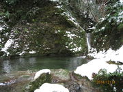 harutyan̊ؐ_Ђ̓eʐ^2