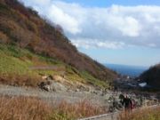 قɂ炳݂̓C̐V΂ƍgt̓eʐ^1