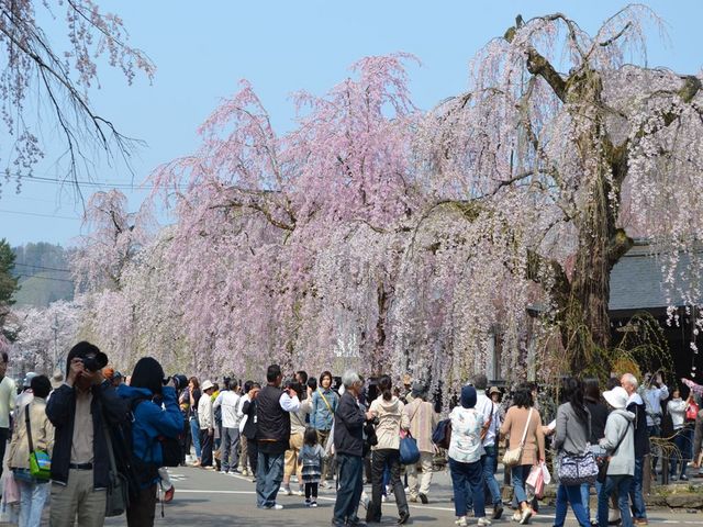 kawaei̊pٕƉ~ʂ̓eʐ^1