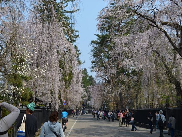 �p�ٕ��Ɖ��~�ʂ�