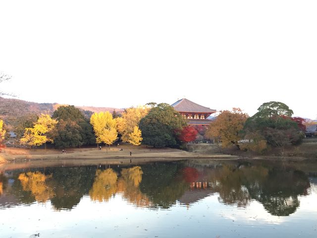 �啧�r����̑啧�a�ƍg�t���ƂĂ����΂炵���ł�_���厛�����i�啧�a�j