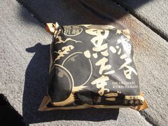 �̂�̂񂳂�̋ʎq�����ւ̓��e�ʐ^1