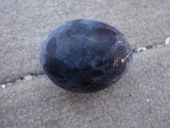 �̂�̂񂳂�̂ւ̓��e�ʐ^2