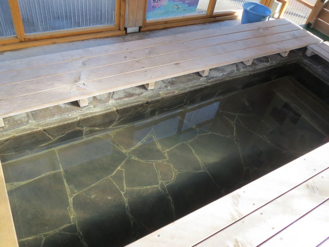 ̂ȂF̉򂪊|Ă܂B_قƂ䂾