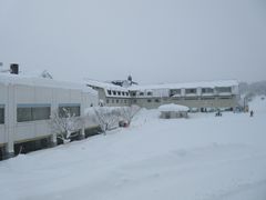 50̃Xm[{[h񂳂̔nAvXzeւ̓eʐ^1