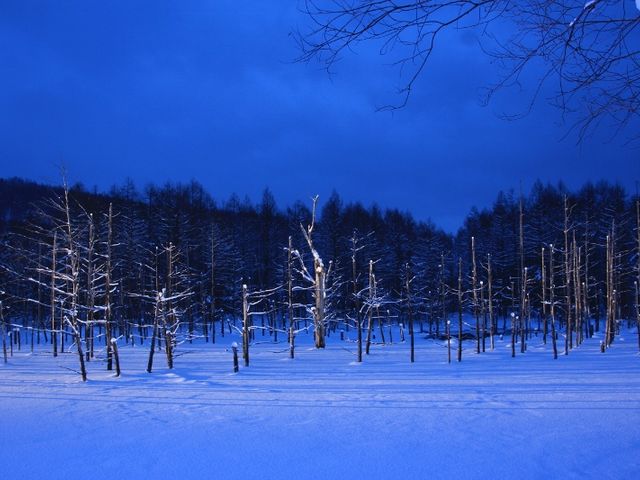 16������̃��C�g�A�b�v�B�Ⴊ���C�g�Ő��Ƃ炳�ꌶ�z�I�I_���r