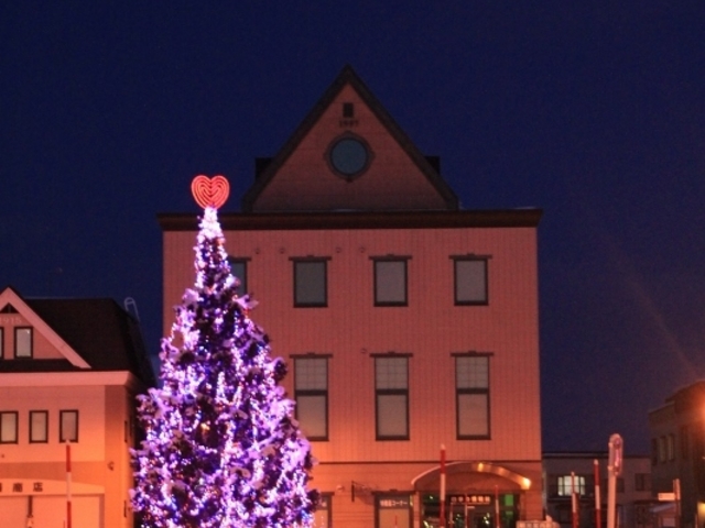 12���͏��ّO�ɃN���X�}�X�c���[���P���Ă��܂���_�l�G�̏���