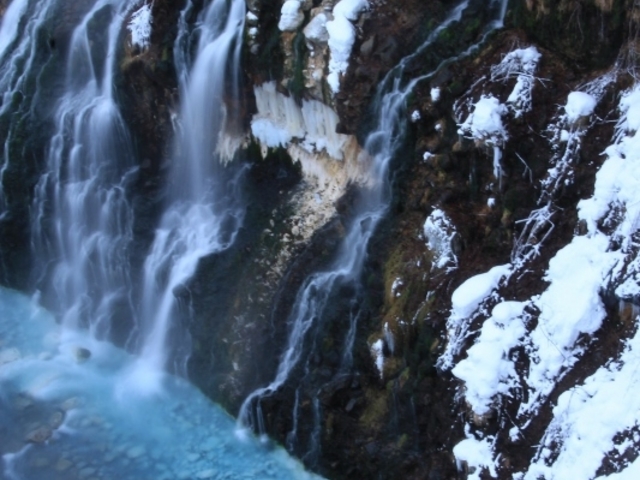 �Ɣ��̋���_���Ђ��̑�