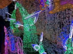 ��a�ꍂ�����V���̎ʐ^1