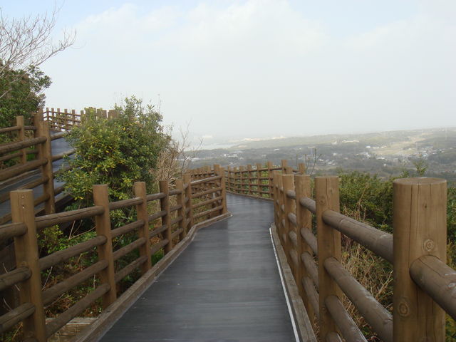 �������ꂽ�X���[�v_���R�W�]�� (���R�V��J�t�F�e���X)