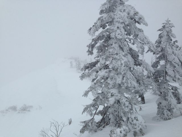 �����Ȏ��X_���X�L�[��