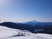 Ԃ񂿂񂳂̑F̓eʐ^1