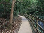 emicetic̏郖莩RH̓eʐ^4