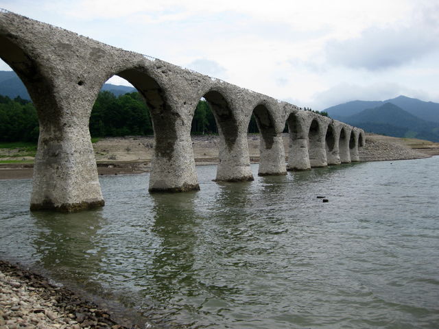 �^�E�V���x�c�싴��
2008/7/15 �B�e
_�����S�m�y���R���N���[�g�A�[�`�����Q