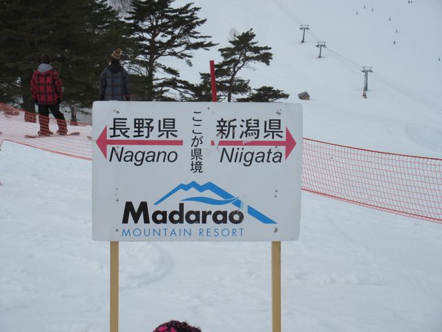 �Q�����f���ɒ��쌧���A
�V�������̌����W���L��I_���������X�L�[��