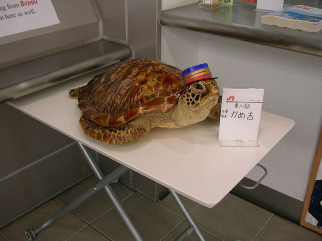 ���΂���̋T�쉷��̓��e�ʐ^1