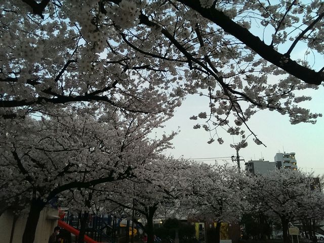 日暮里南公園