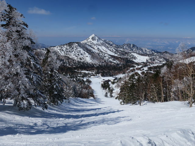 �}�x_�u�ꍂ������R�R��