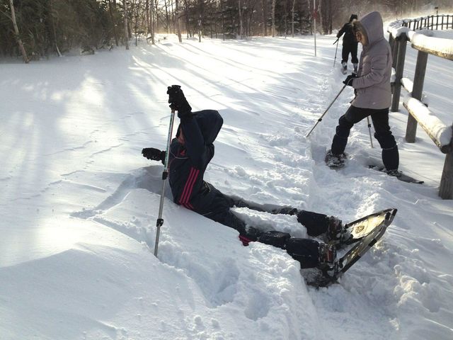 ӂӂ̐V̂͋Cǂł[IɂͥI_c삷uˌ