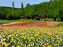 GX̍c삷uˌւ̓eʐ^2