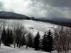 GX̍c삷uˌւ̓eʐ^1