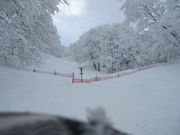 50̃Xm[{[h񂳂X-JAMxm̓eʐ^2