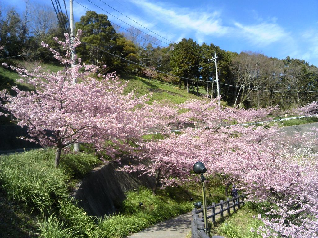 佐久間ダム湖親水公園 アクセス 営業時間 料金情報 じゃらんnet