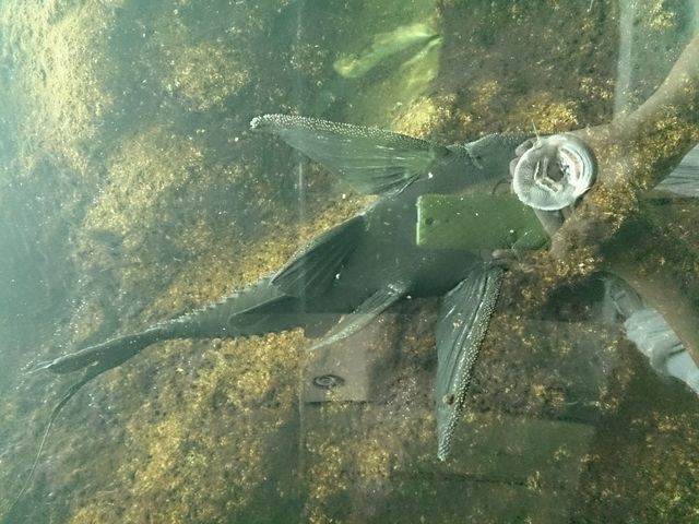 �C������(��)_�Ȗ،��Ȃ����퐅�V��