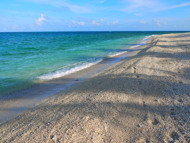 ܂股̒lr[`iE[Olj̓eʐ^1