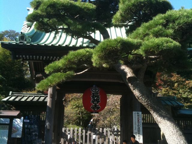 ���J��_���J��