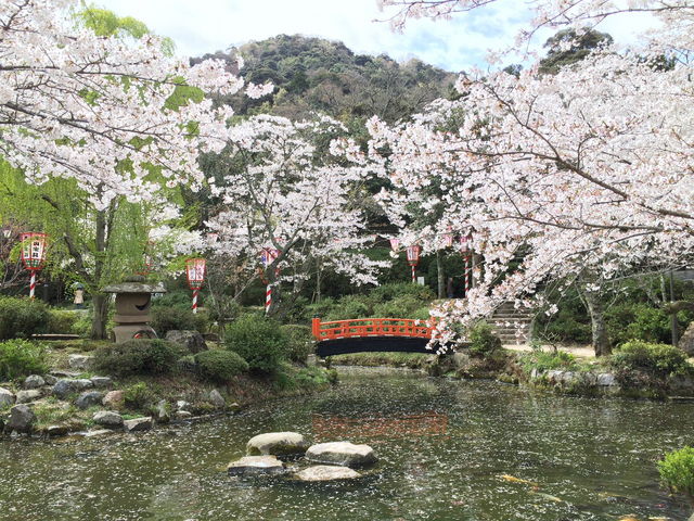 minami����̑Ő������̍��E�c�c�W�̓��e�ʐ^2