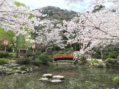 minami����̑Ő������̍��E�c�c�W�ւ̓��e�ʐ^1