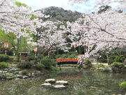 minamȋŐ̍EccW̓eʐ^2