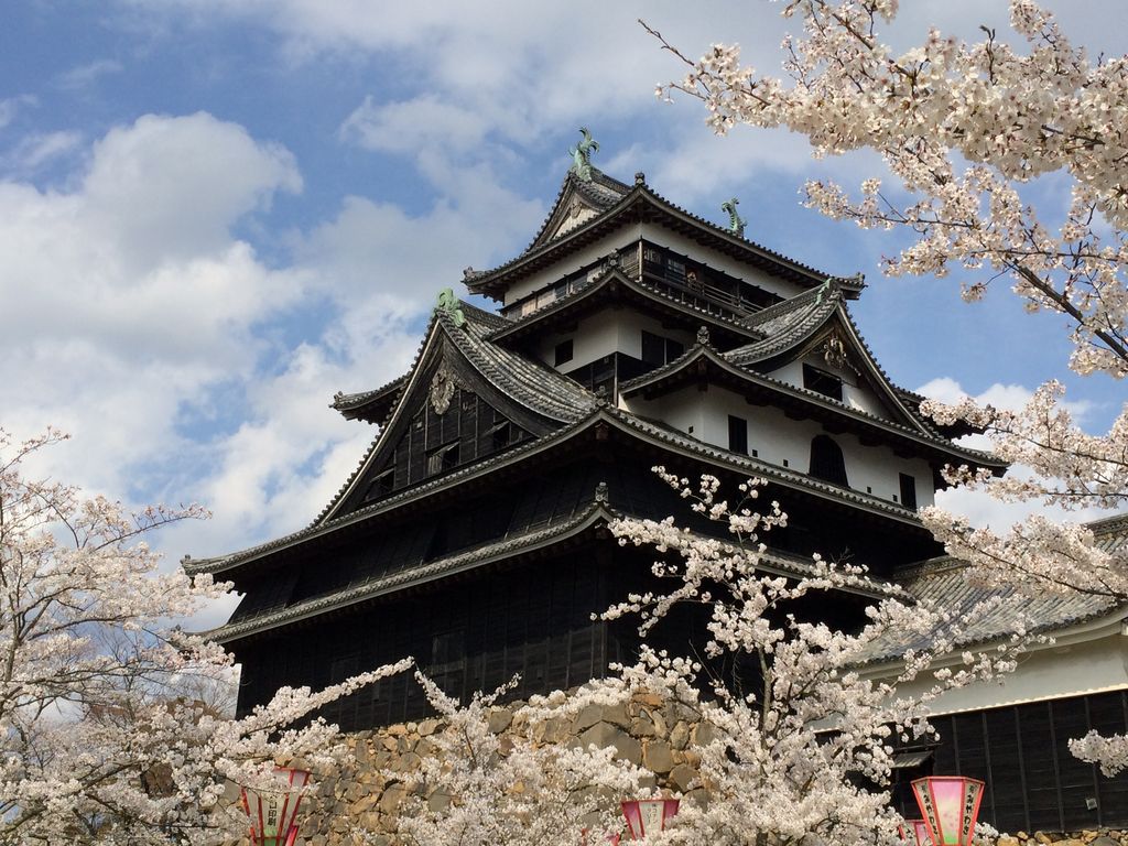 松江城山公園の桜