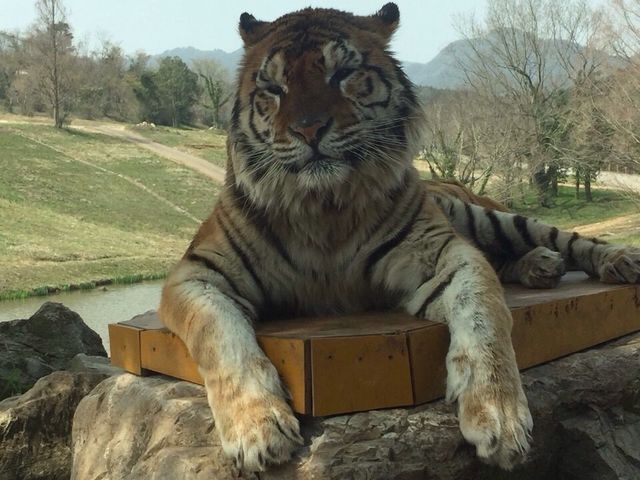 ���͂���܂���_�H�g�䎩�R���������T�t�@�������h