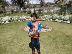 neko܂̔lt[p[Nւ̓eʐ^1