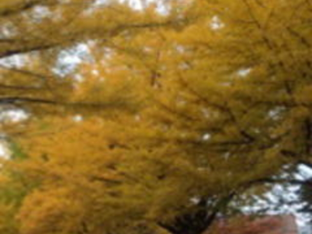 �k��C�`���E����