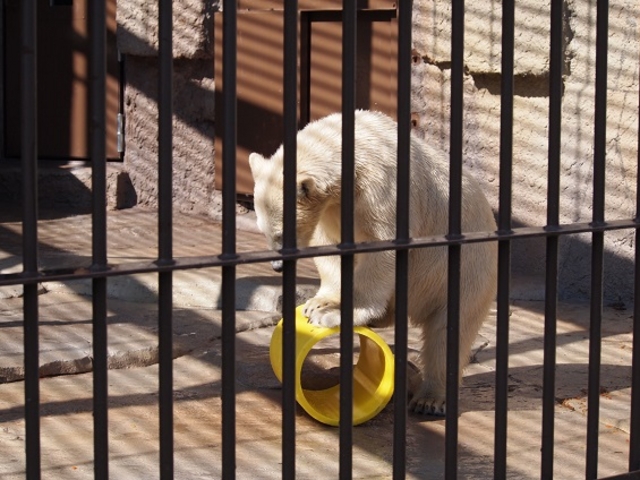 �~�R������