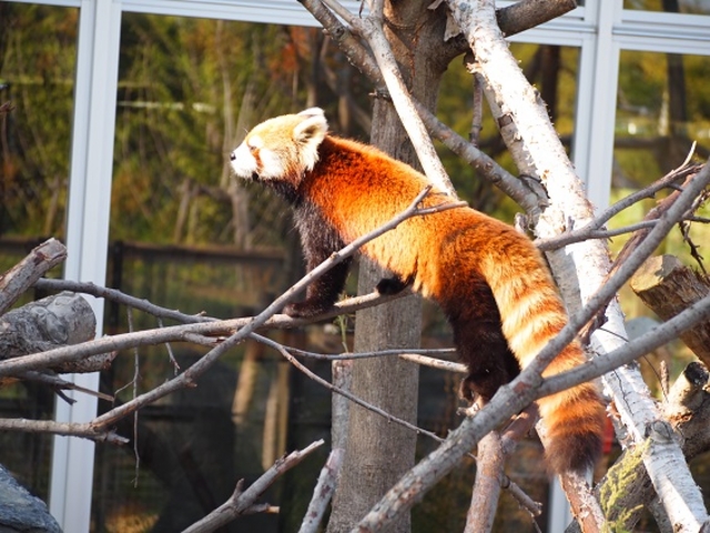 �~�R������